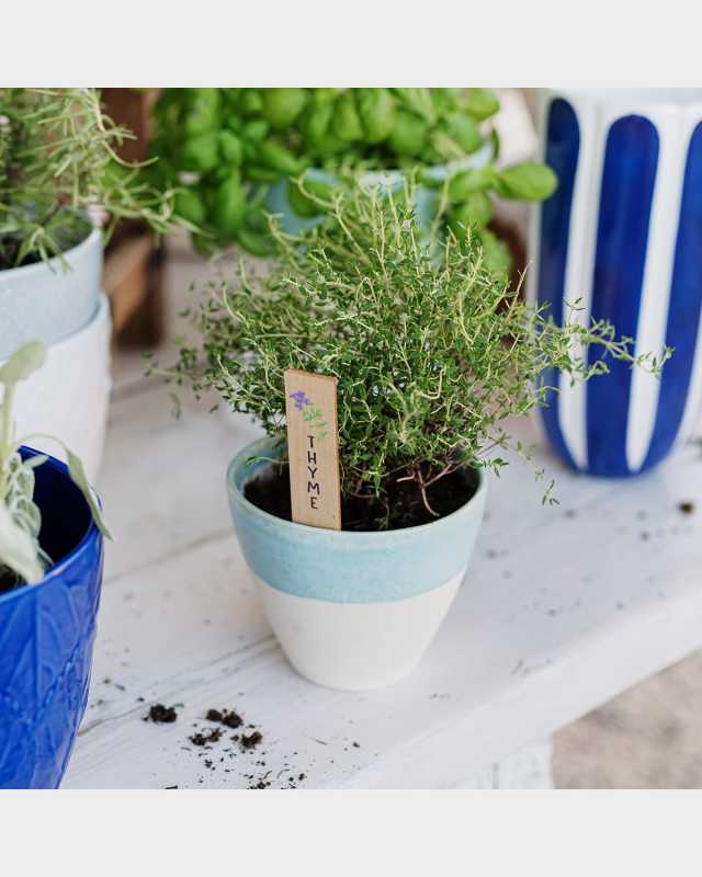 Viva Garden Reactive Small Cachepot